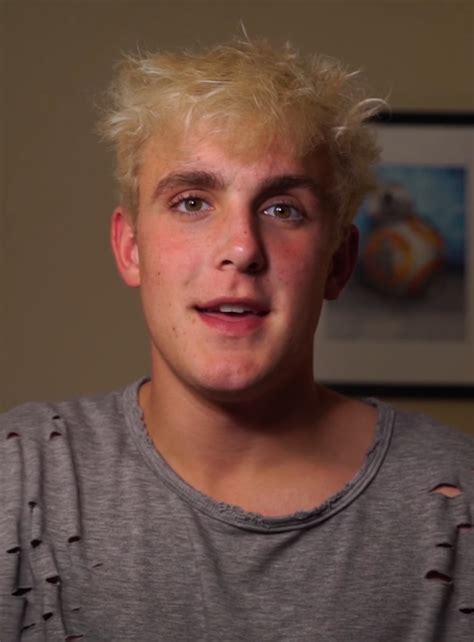 jake paul wikipedia|why is jake paul famous.